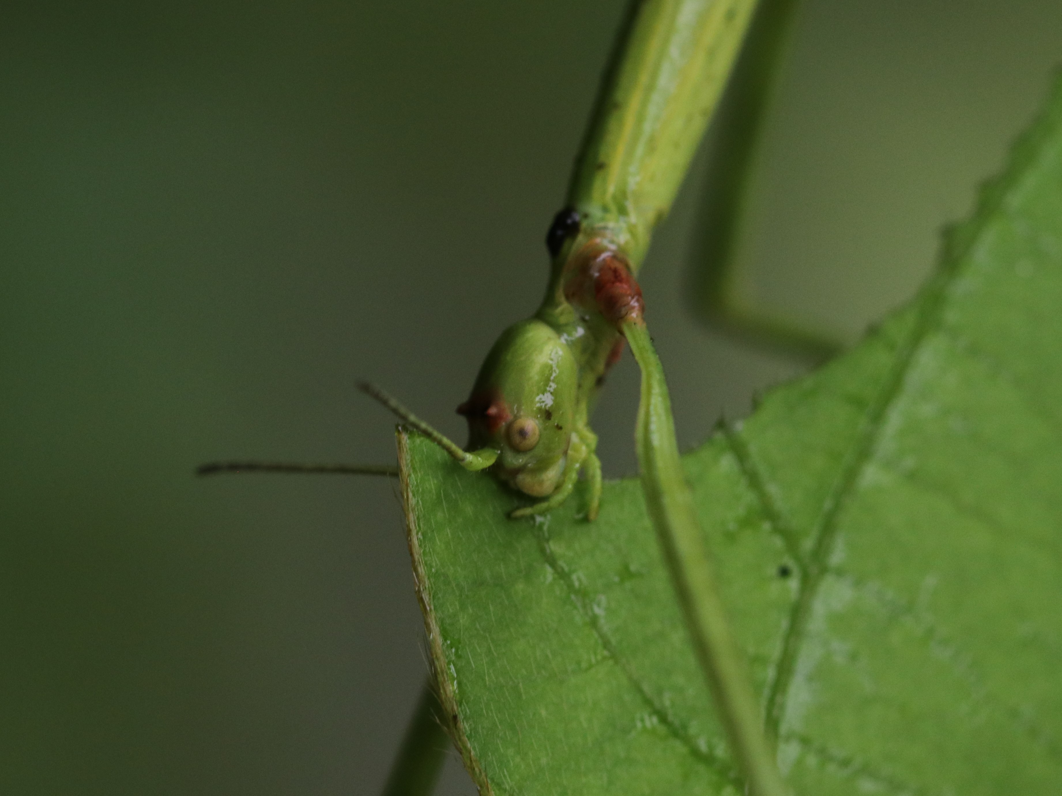 photo_2
